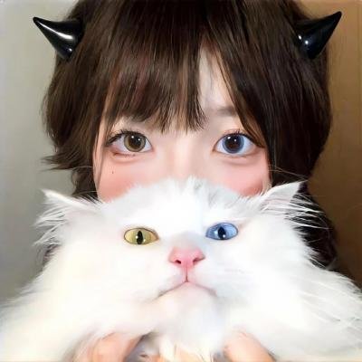 新猛鬼街 封面