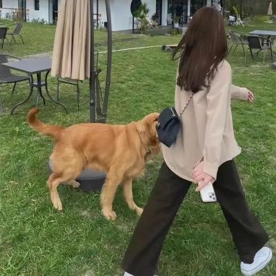 走西口的哥哥没回来 封面